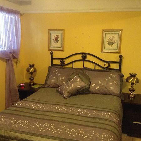Saint-Anselme Douces Evasions Bed & Breakfast エクステリア 写真